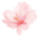 flower_2 (Demo)