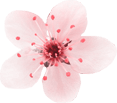 flower_4 (Demo)